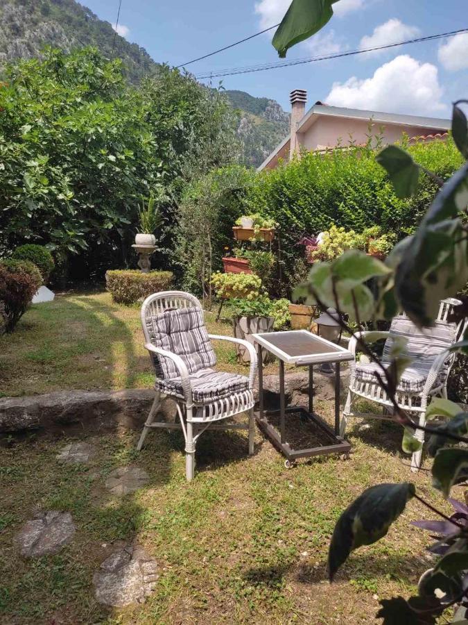 Apartman Art Kotor Eksteriør billede